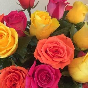 Meet your Posher, Joann